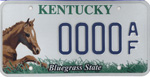Kentucky horse license plate